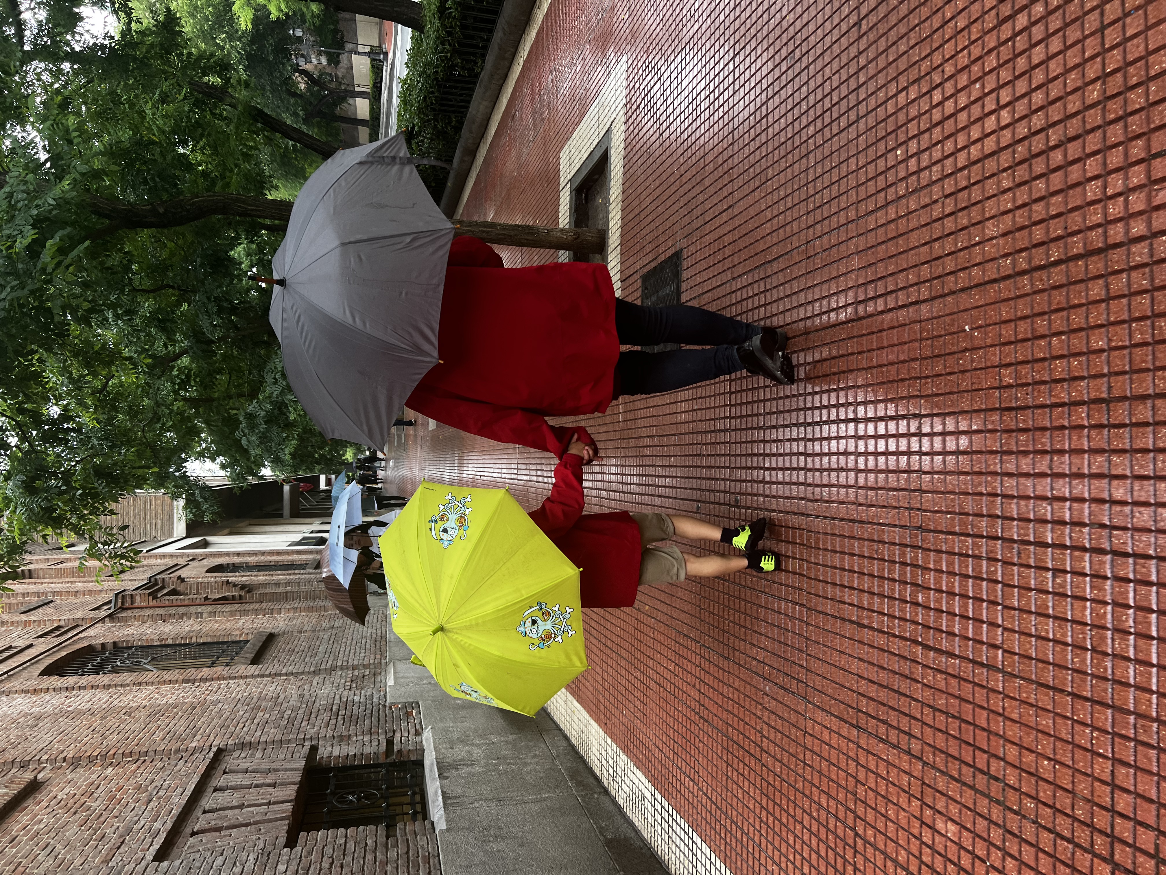 Umbrellas in the Rain