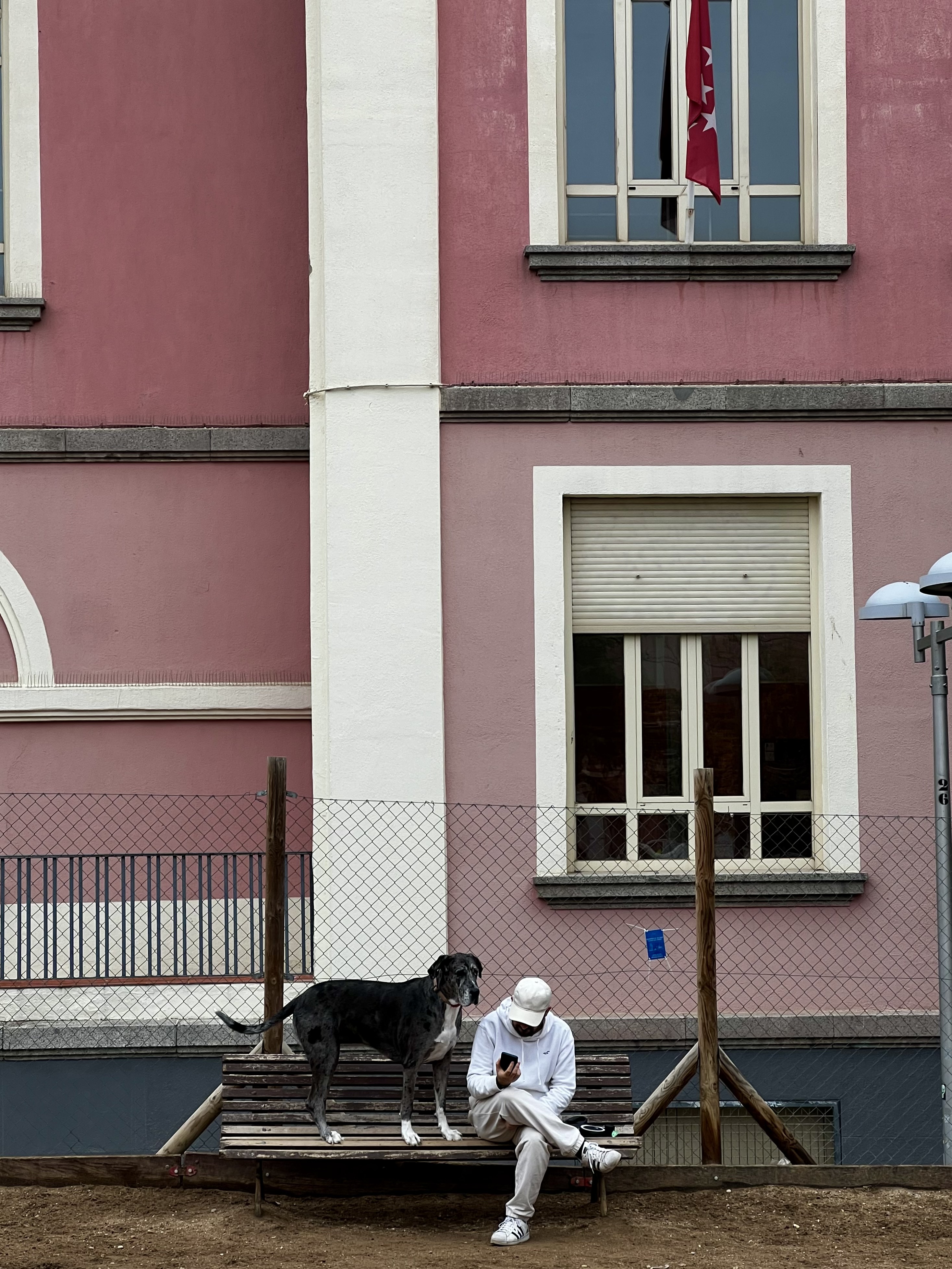 Man and Dog on the Steps